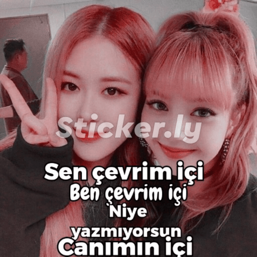 Kedicik 17