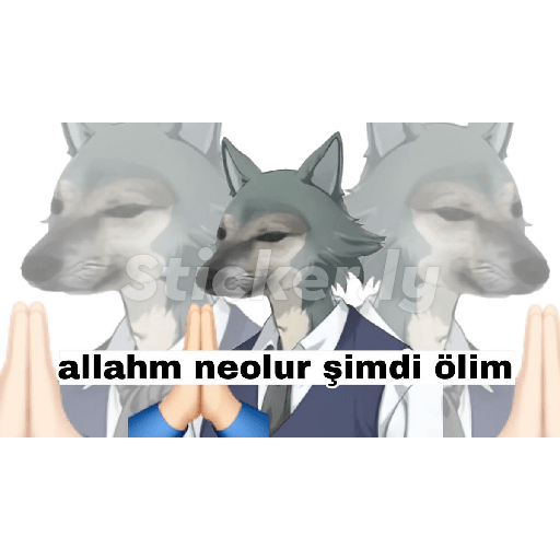 Kedicik 4