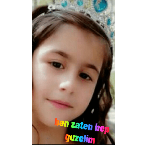 Kedicik 27