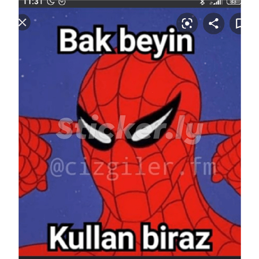 Kedicik 16