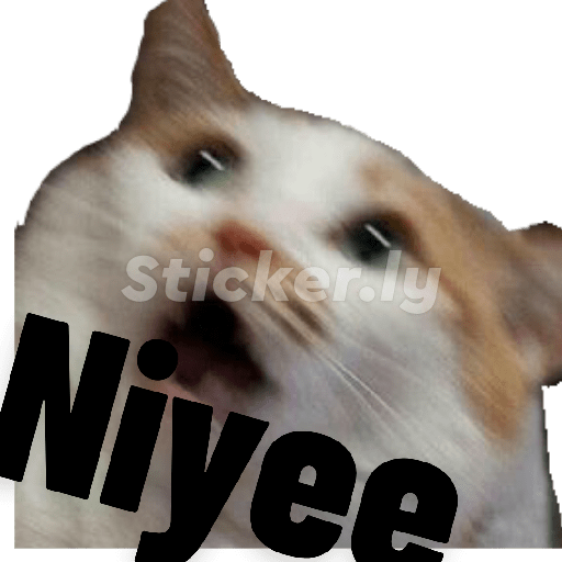 Kedicik 20