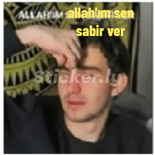 Kedicik 2