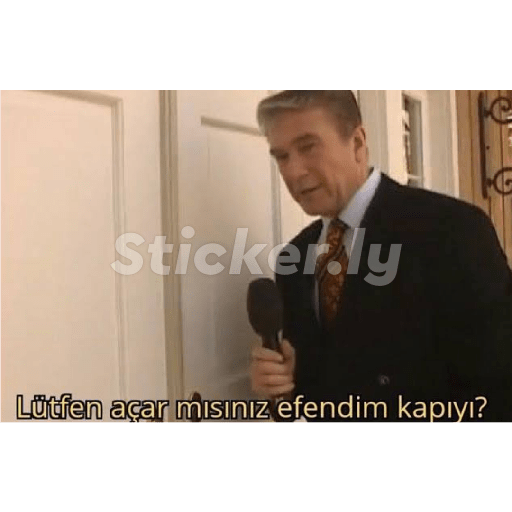 Kedicik 11