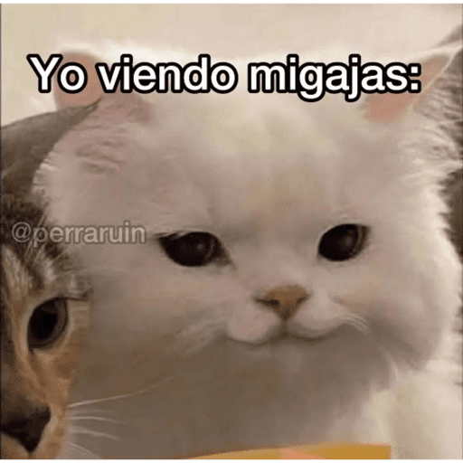 Mis pegatinas