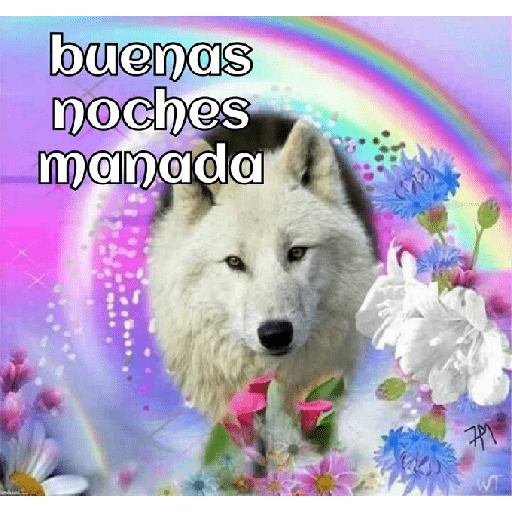 Buenas noches manada 1