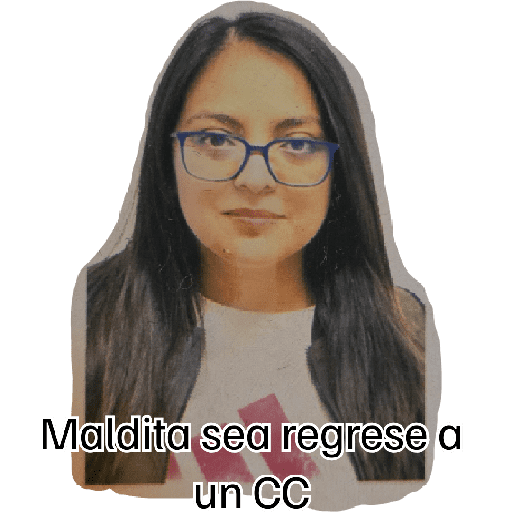 Chihuahua 19