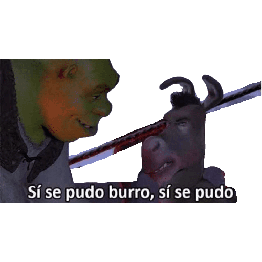 Chihuahua 17
