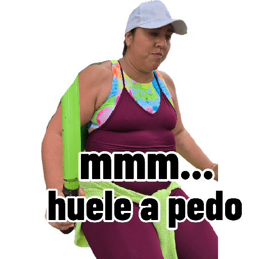 Chihuahua 23
