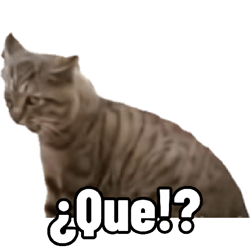 Chihuahua 27