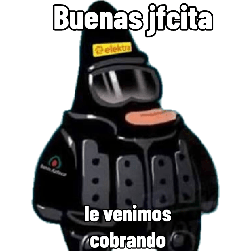 Chihuahua 29
