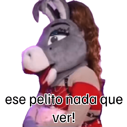 Chihuahua 11