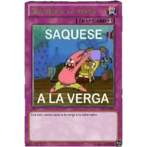 Chihuahua 15