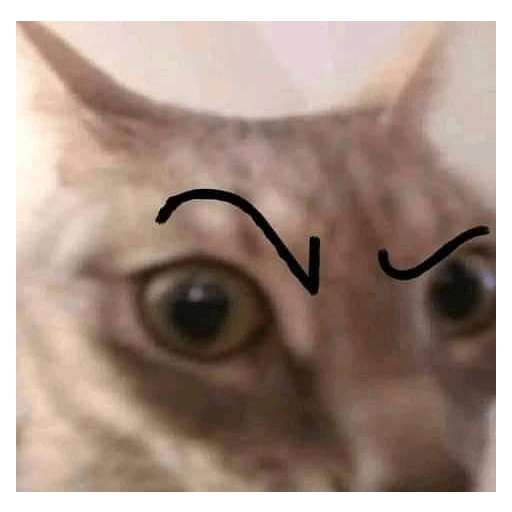 XDD 3