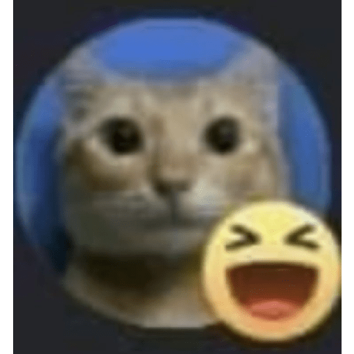 XDD 11