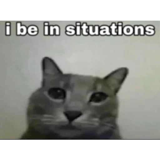 XDD 15