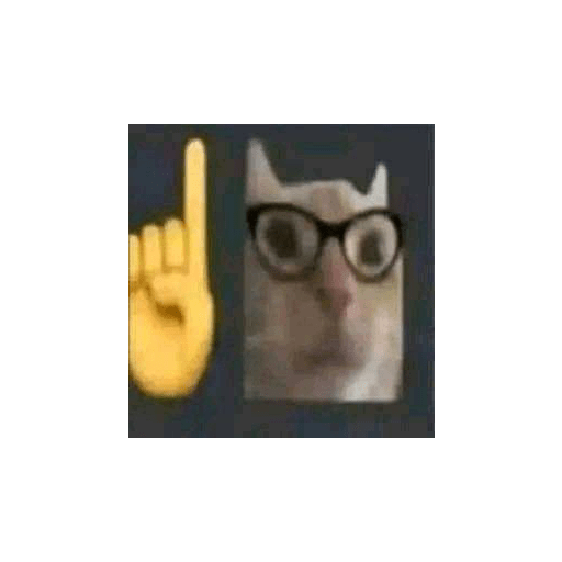 XDD 14