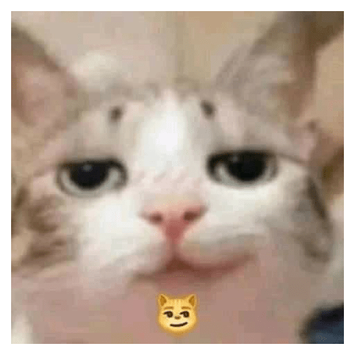 XDD 16