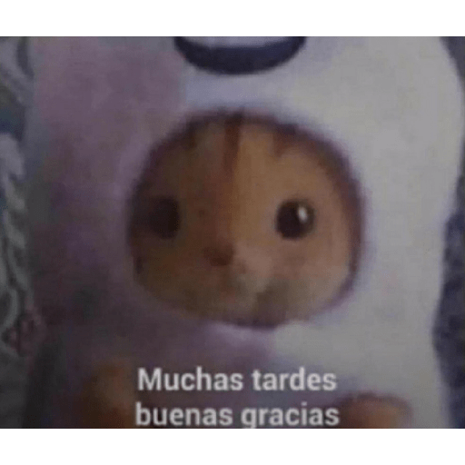Que me robas el sticker bobo 8 3