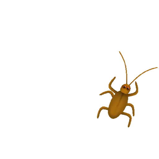 Animados 10