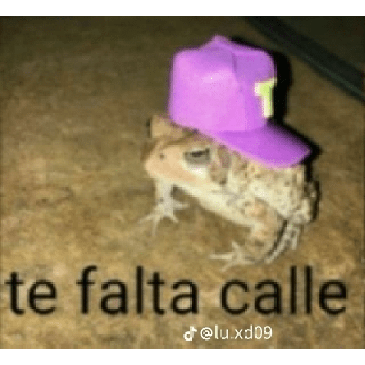 Tintoberri 5