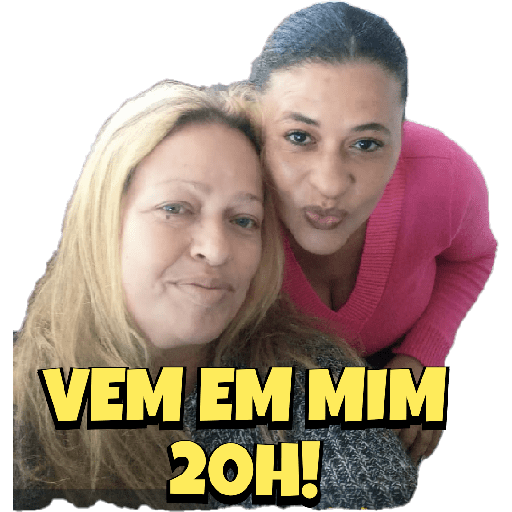 Minhas figurinhas 13