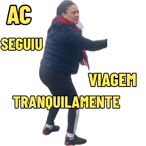 Minhas figurinhas 20