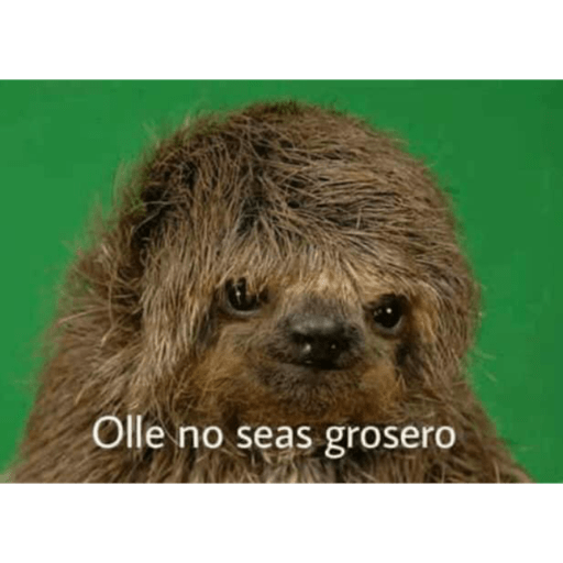Chango 6