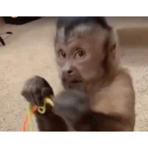 Chango 2