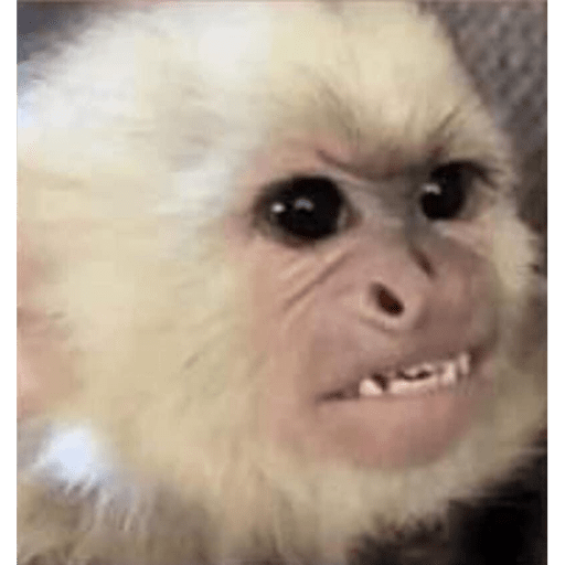 Chango 1