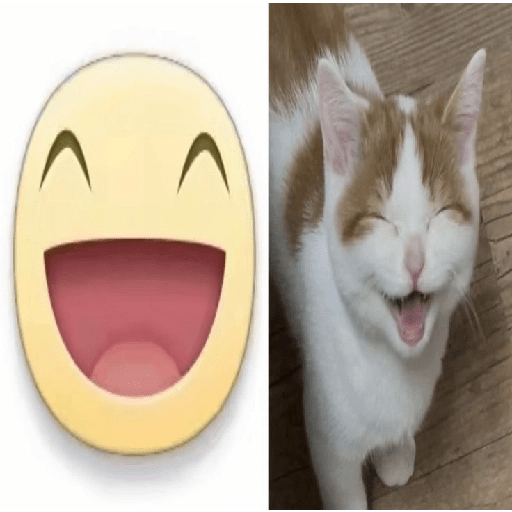 Icons gatitos  4
