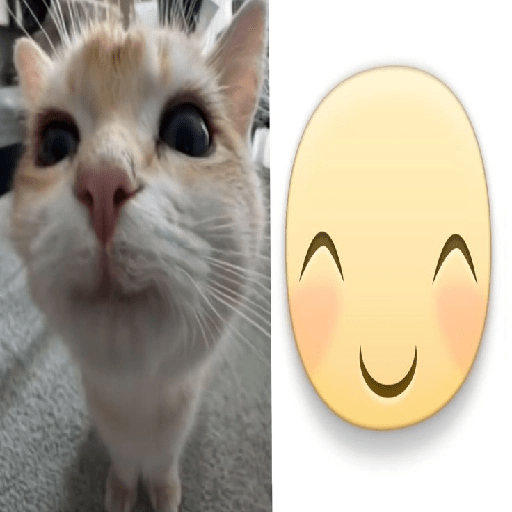 Icons gatitos  8