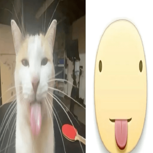 Icons gatitos  10