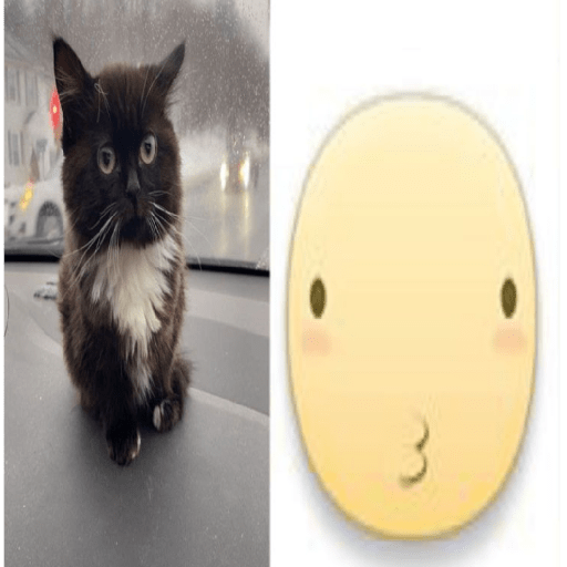 Icons gatitos  11
