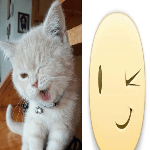 Icons gatitos  12
