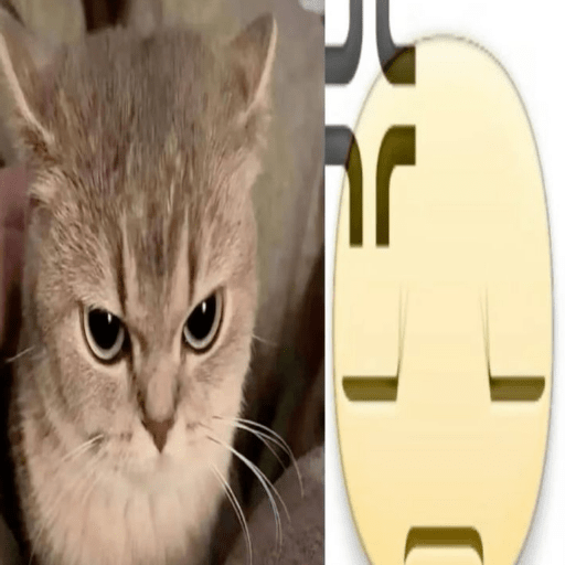 Icons gatitos  13