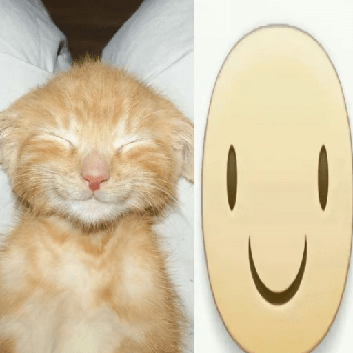 Icons gatitos  14