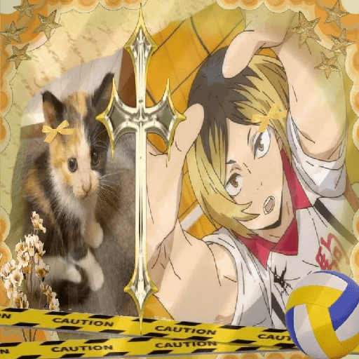 Adhesiu 6