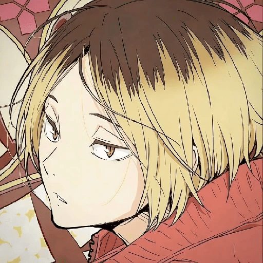 Adhesiu 11
