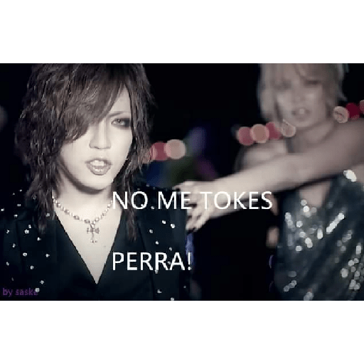 The GazettE. Reita forever 1