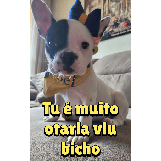 Sticker 6