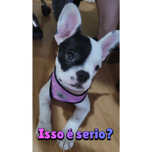 Sticker 1