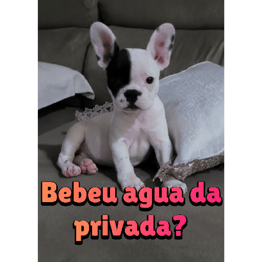 Sticker 7