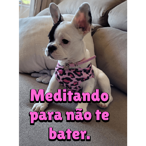 Sticker 8