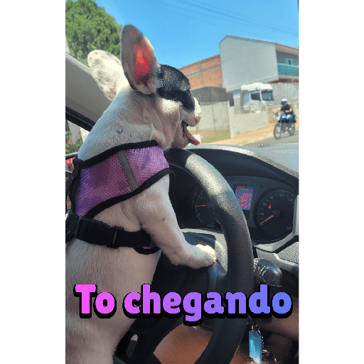 Sticker 9