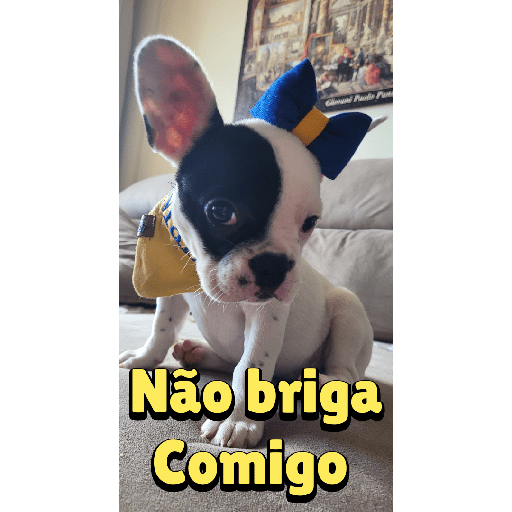 Sticker 4