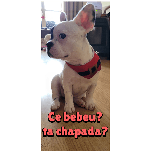Sticker 5