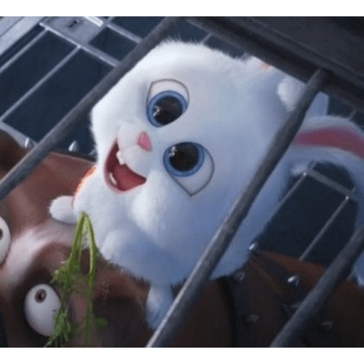 Cuelhin 19