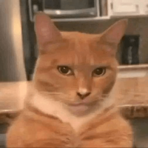 Hai, Saya Menggunakan Whatsapp 4