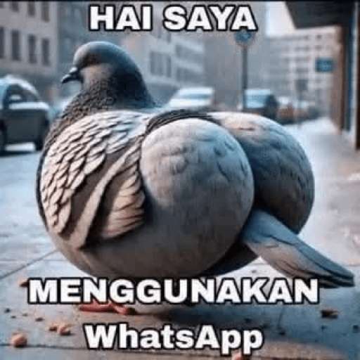 Hai, Saya Menggunakan Whatsapp 6