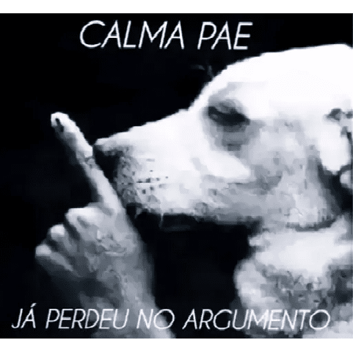 Gatinhokks 9